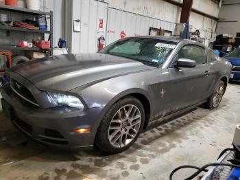  Salvage Ford Mustang