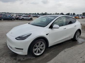  Salvage Tesla Model Y