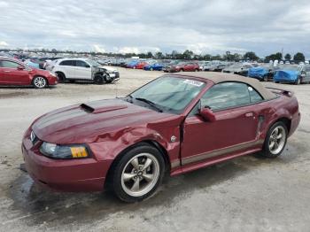  Salvage Ford Mustang