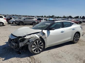  Salvage Nissan Maxima