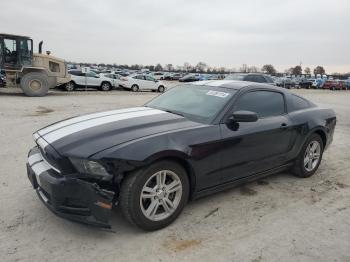  Salvage Ford Mustang