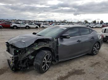  Salvage Nissan Maxima