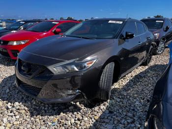  Salvage Nissan Maxima