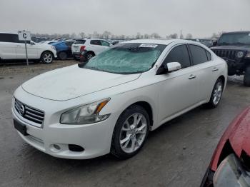  Salvage Nissan Maxima