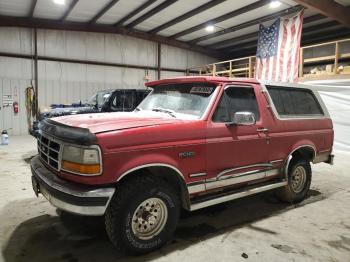  Salvage Ford Bronco