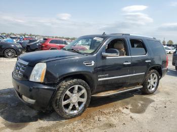  Salvage Cadillac Escalade