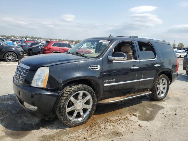  Salvage Cadillac Escalade