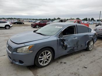  Salvage Nissan Maxima