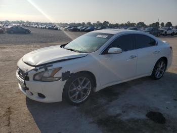  Salvage Nissan Maxima