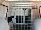 Nissan Nv 2.5s Image 9