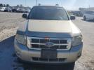 Ford Escape Xlt Image 4