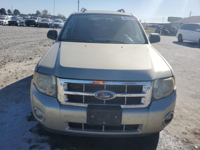 Ford Escape Xlt Image 4