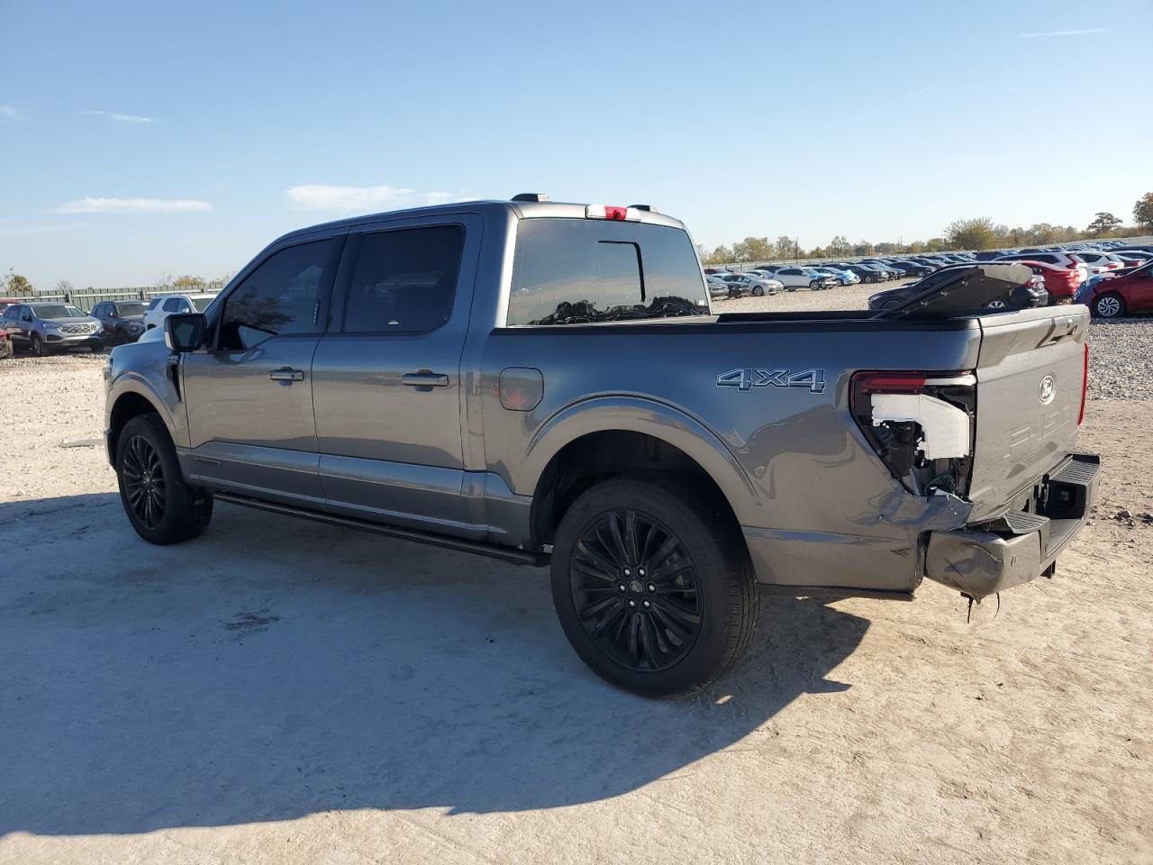 Ford F-150 Platinum Image 2