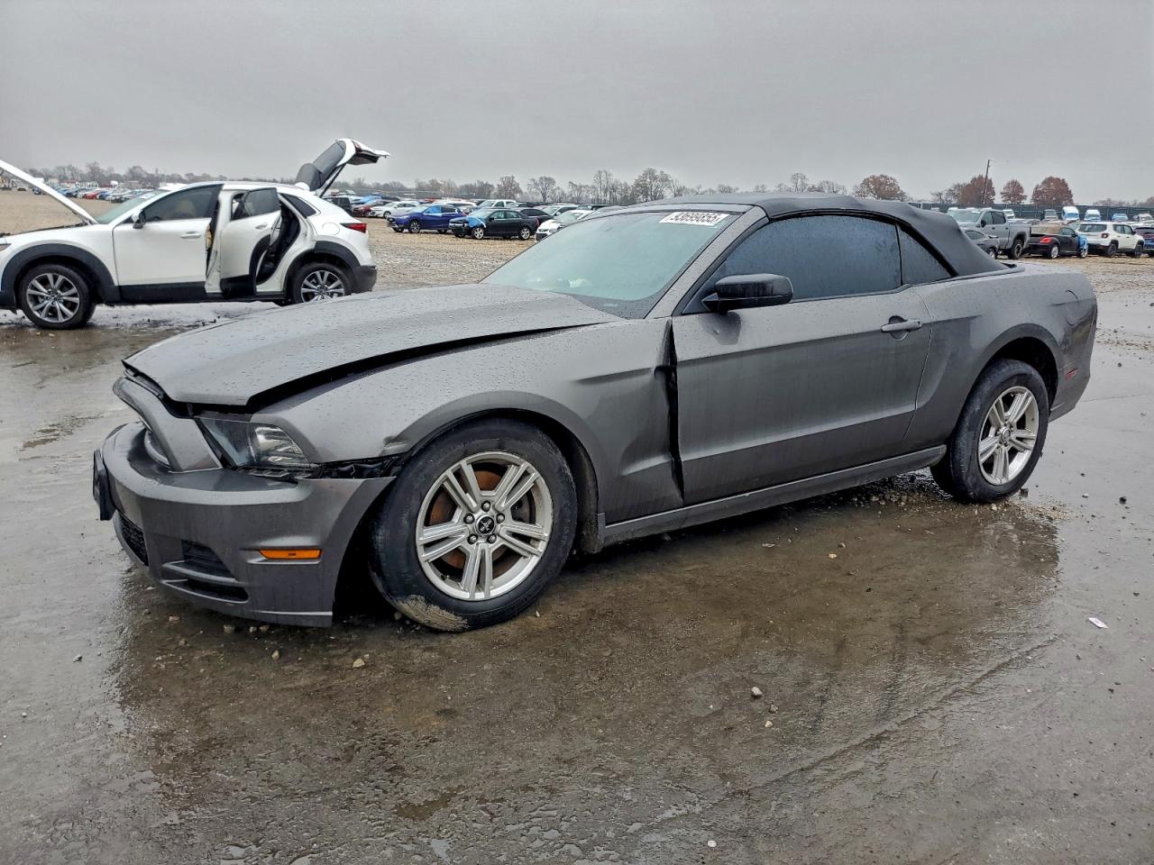 Ford Mustang Image 1