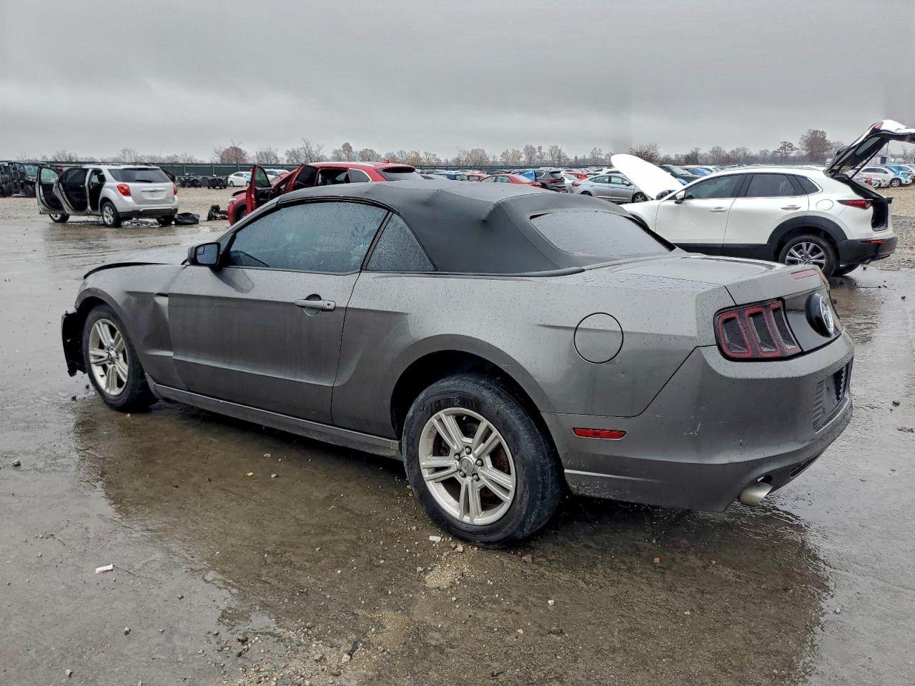 Ford Mustang Image 2