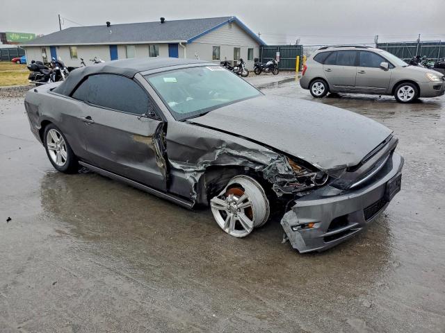 Ford Mustang Image 3