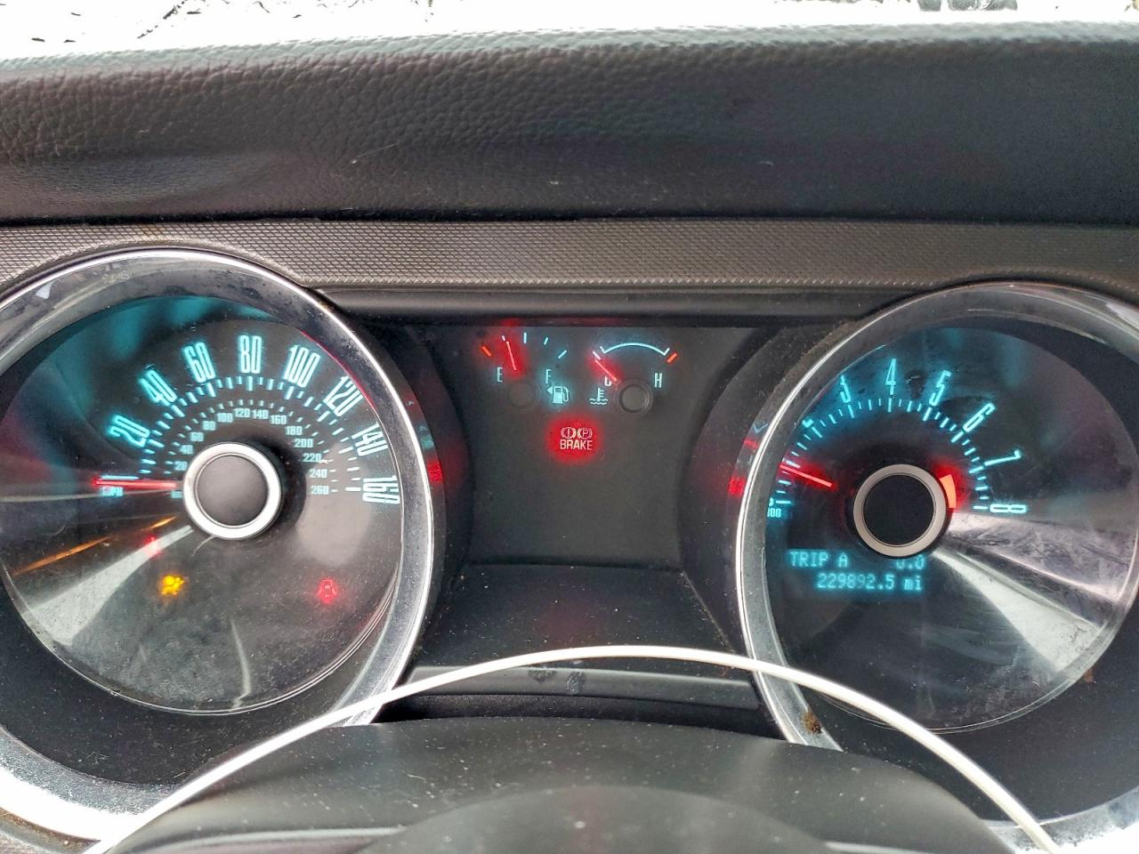 Ford Mustang Image 7