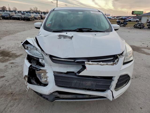 Ford Escape Se Image 12