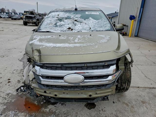 Ford Edge Limited Image 4