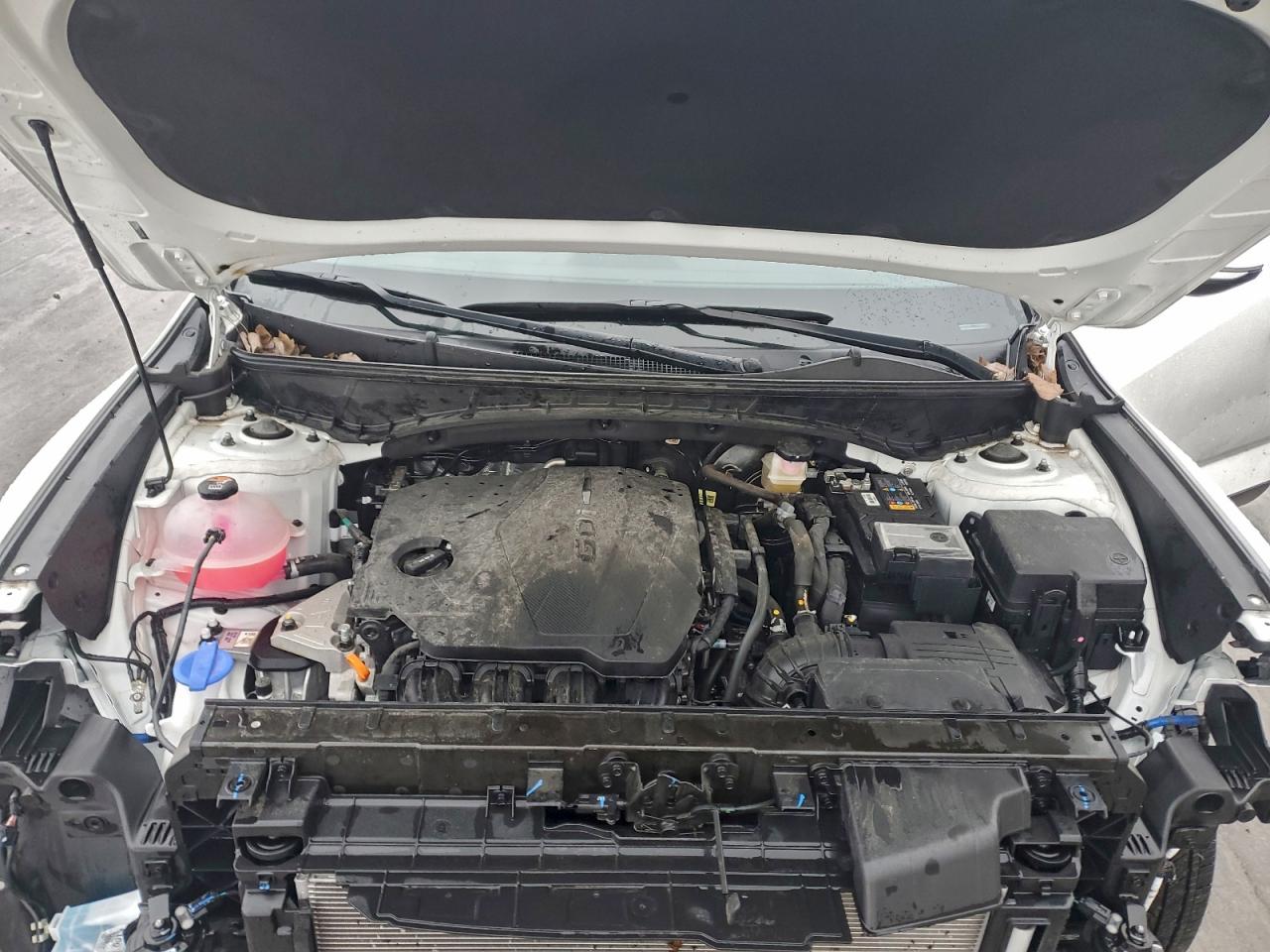 Hyundai SANTA CRUZ Sel Image 8