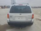 Ford Escape Limited Image 10