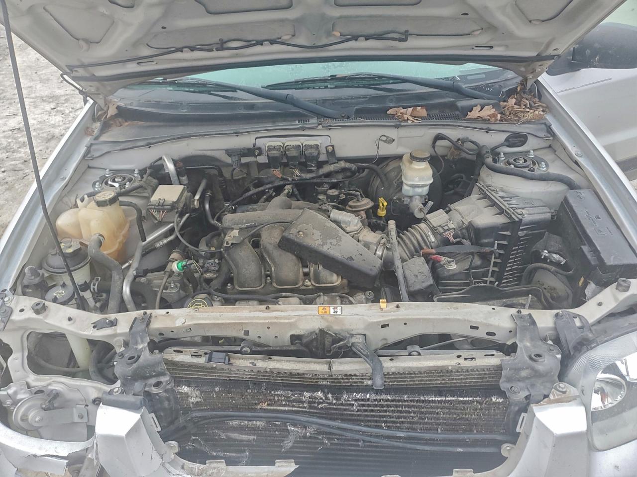 Ford Escape Limited Image 4