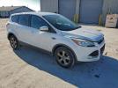 Ford Escape Se Image 5