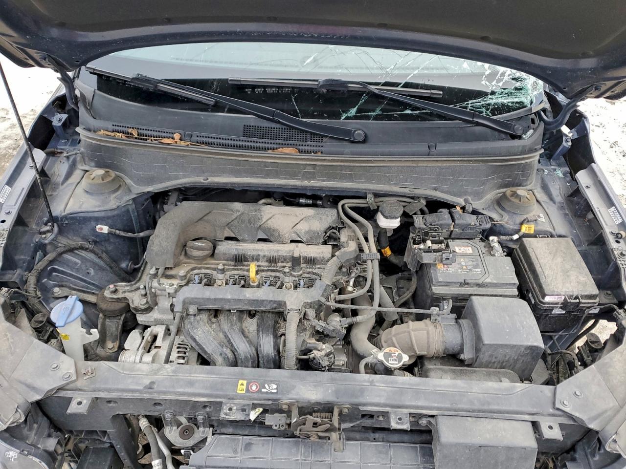 Hyundai VENUE Sel Image 11