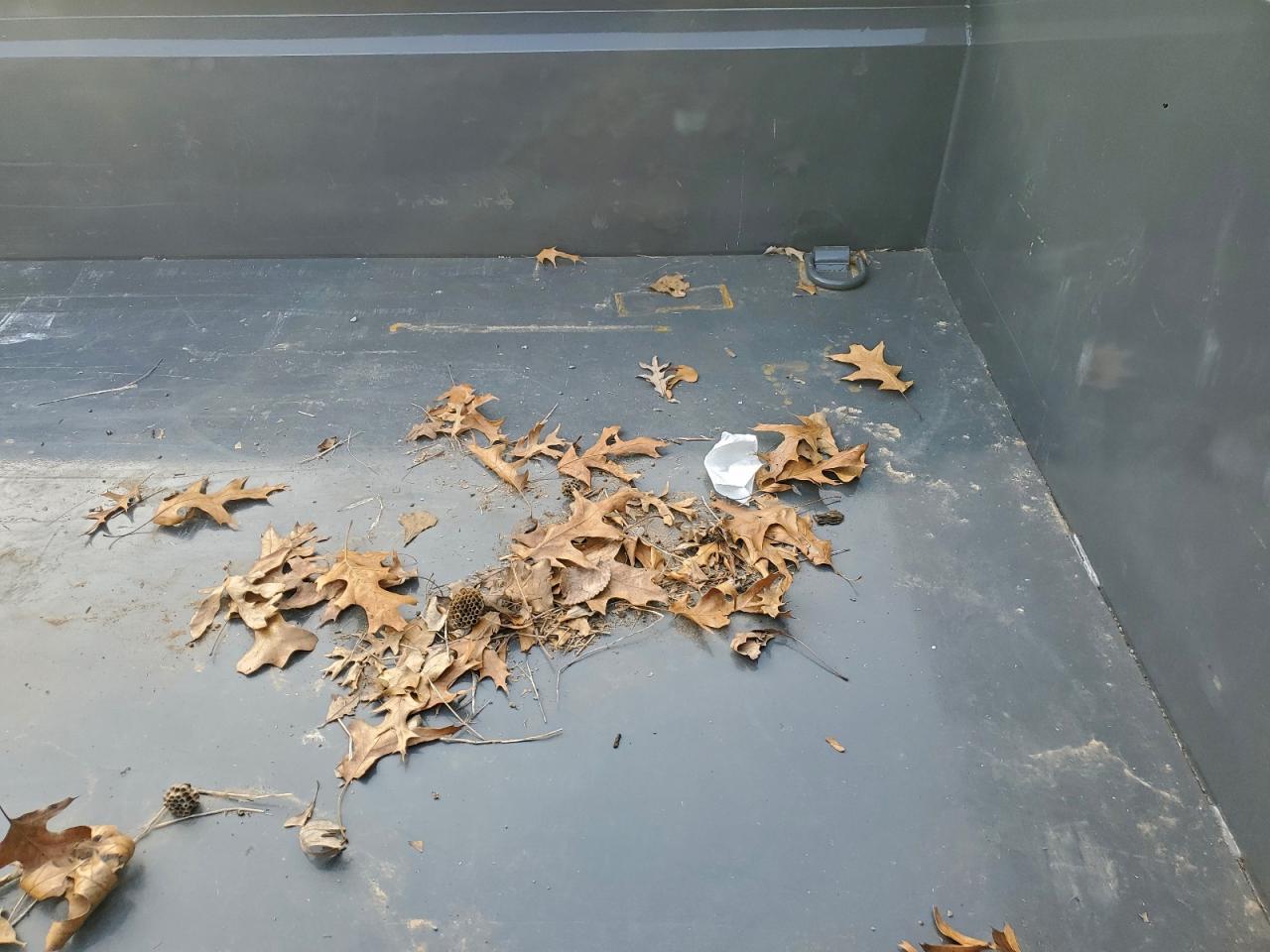 Norstar Other Image 10