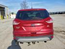 Ford Escape Se Image 7